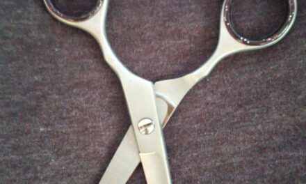 Barber’s Scissors (STARBUY)
