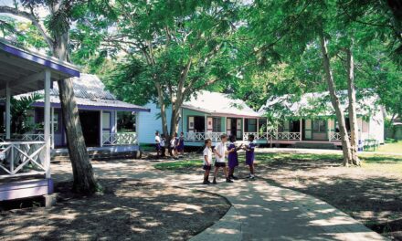 Suspected covid-19 case at a private school