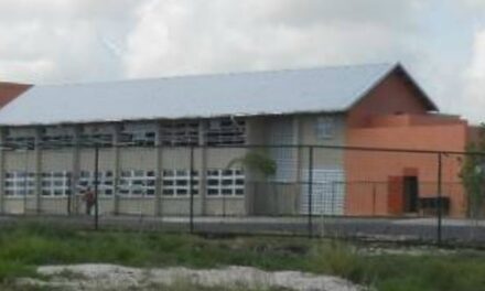 Blackman And Gollop School Parents Concerned About Ash