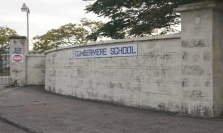 Volcano Dust Postpones Classes At Combermere School