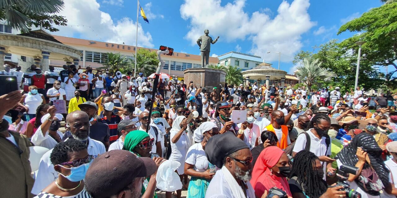 Police Break-up Anti Vaccine Rally