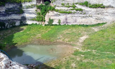 Stop Order On Lower Estate Quarry