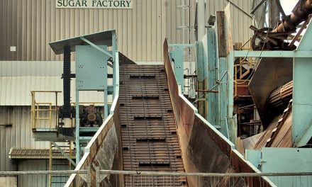 Factory Breakdown Halts Sugar Crop
