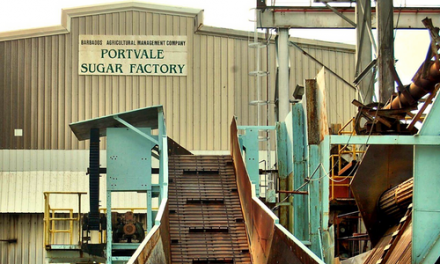2023 Sugar Harvest Expected to Begin on Time