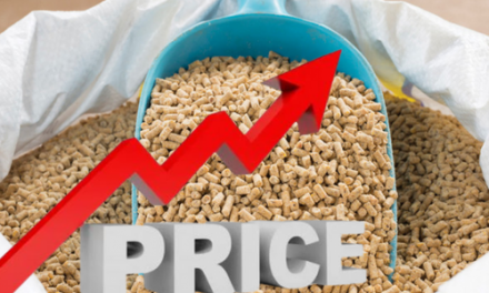 Feed Price to Increase-Farmers Hikes to Follow
