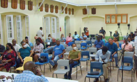 Barbadians Share their Views and Recommendations on Constitutional Reform