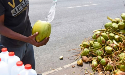 Highway Vendors to be Relocated