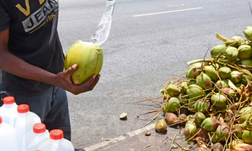 Govt urged to shift roadside vending