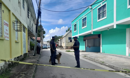 Man Shot Dead at Gills Road, St. Michael