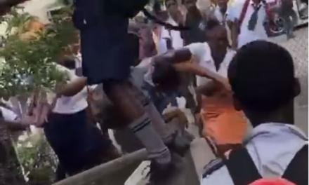Concern Over School Brawls