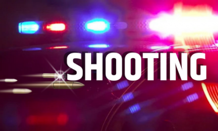 Man Shot Dead in St. George