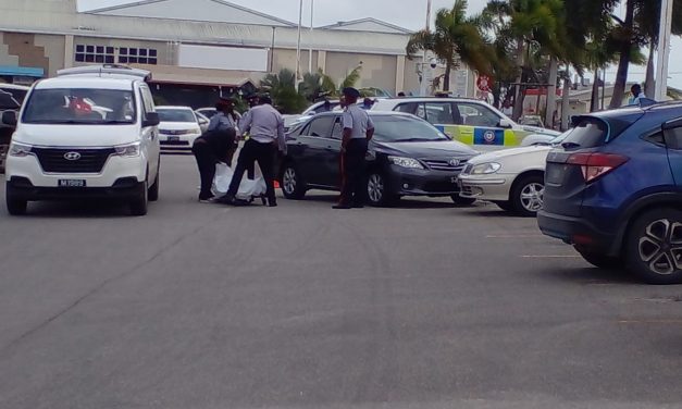 Driver Dead in Carpark After Collision