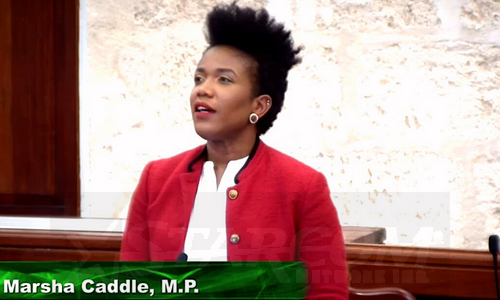 MP Caddle Calls for Corporal Punishment to be Removed at Schools