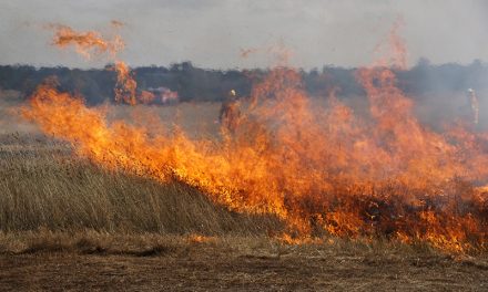 Grass Fires Trigger Health Concerns