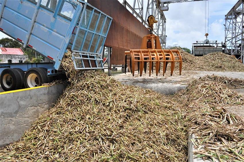 Big Sugar Sector Shift to Renewal Energy Planned