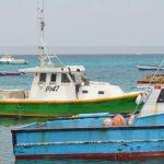 Bdos/T&T Seeking Fishing Solution