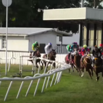 Jockey seriously injured; 2 horses put down after racing incident