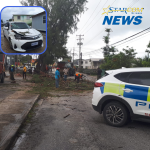 Tree falls on car after alleged lightning strike