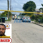 Jamaican national charged with murder/ Hinds remanded on gun and ammo offenses