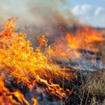 Grass fire forces closure of many schools