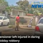 Pensioner left injured in daring midday robbery