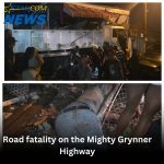 Road fatality on the Mighty Grynner Highway