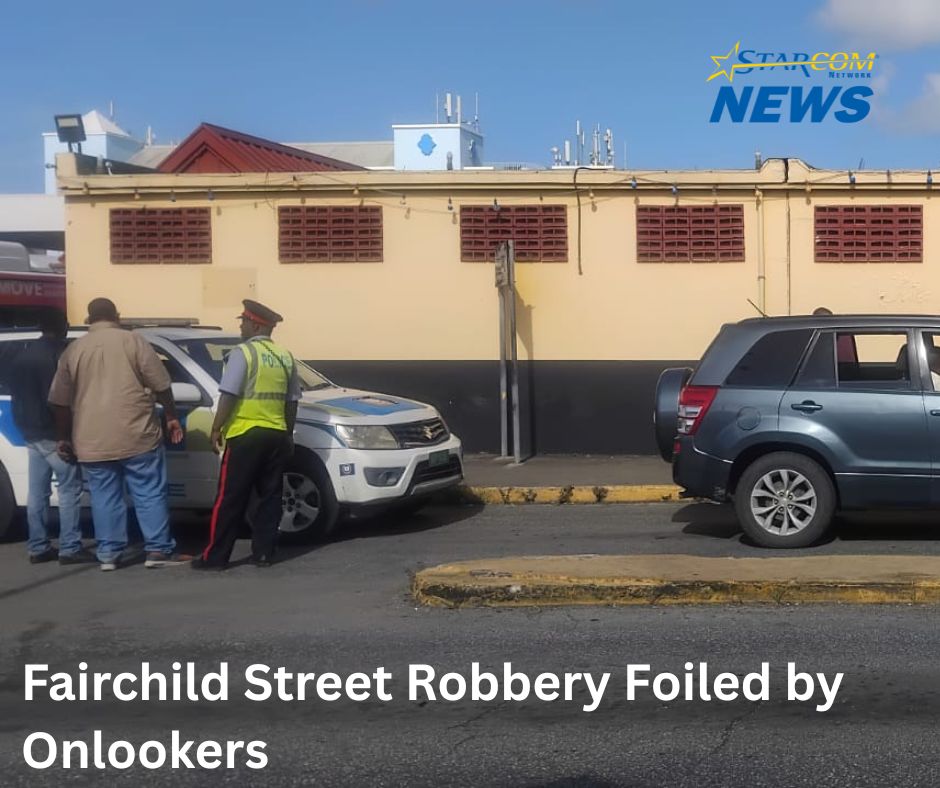 Fairchild Street Robbery Foiled by Onlookers
