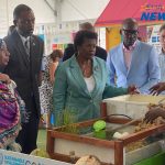 Small Island Future Festival Opens