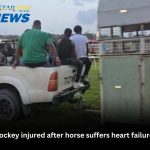 Jockey injured after horse suffers heart failure