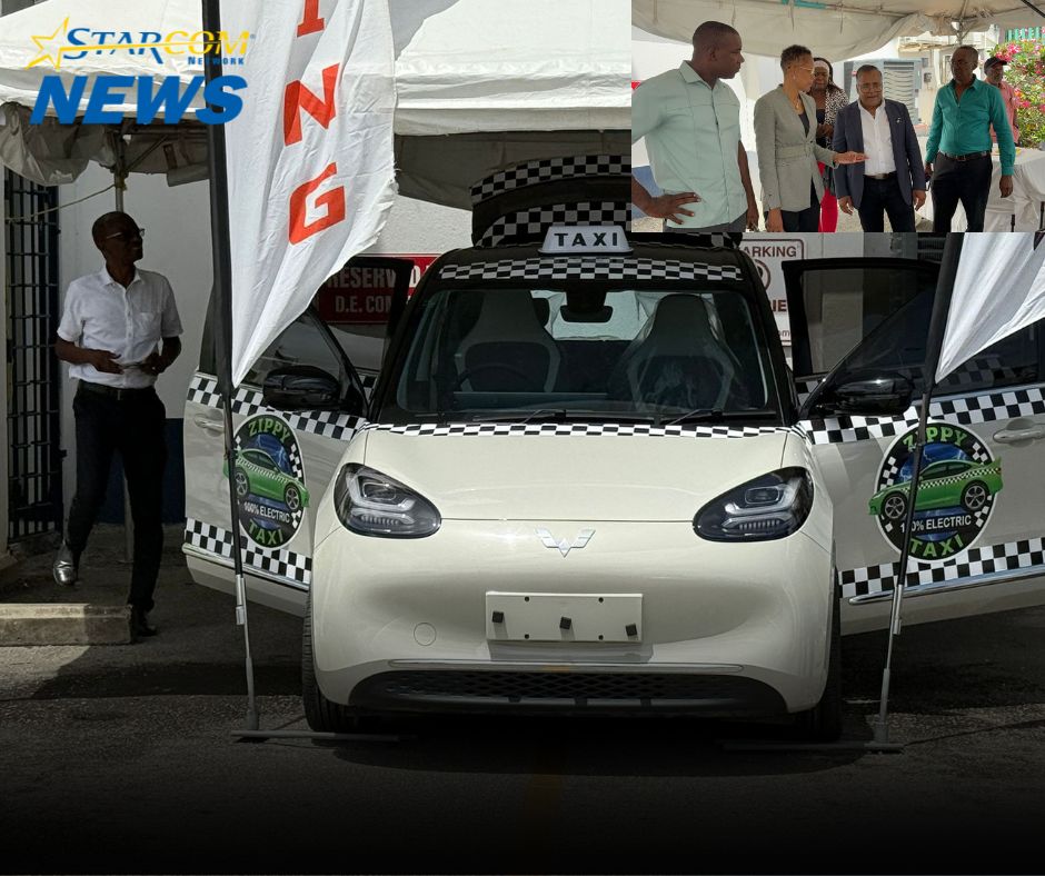 Fully electric taxi service launched
