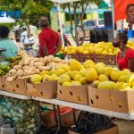BARVEN calls for unity and discipline among vendors islandwide