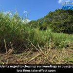 Residents urged to clean up surroundings as overgrown lots fines take effect soon