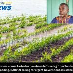 Farmers across Barbados have been left reeling from Sunday’s flooding, BARVEN calling for urgent Government assistance
