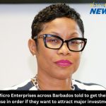Micro Enterprises across Barbados told to get their house in order if they want to attract major investment.