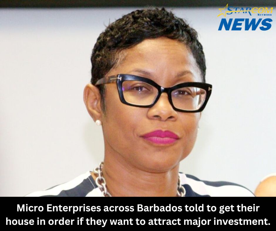 Micro Enterprises across Barbados told to get their house in order if they want to attract major investment.