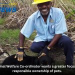 Animal Welfare Co-ordinator wants a greater focus on responsible ownership of pets.