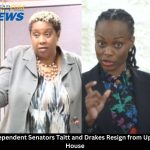Two Independent Senators Resign from the Upper House